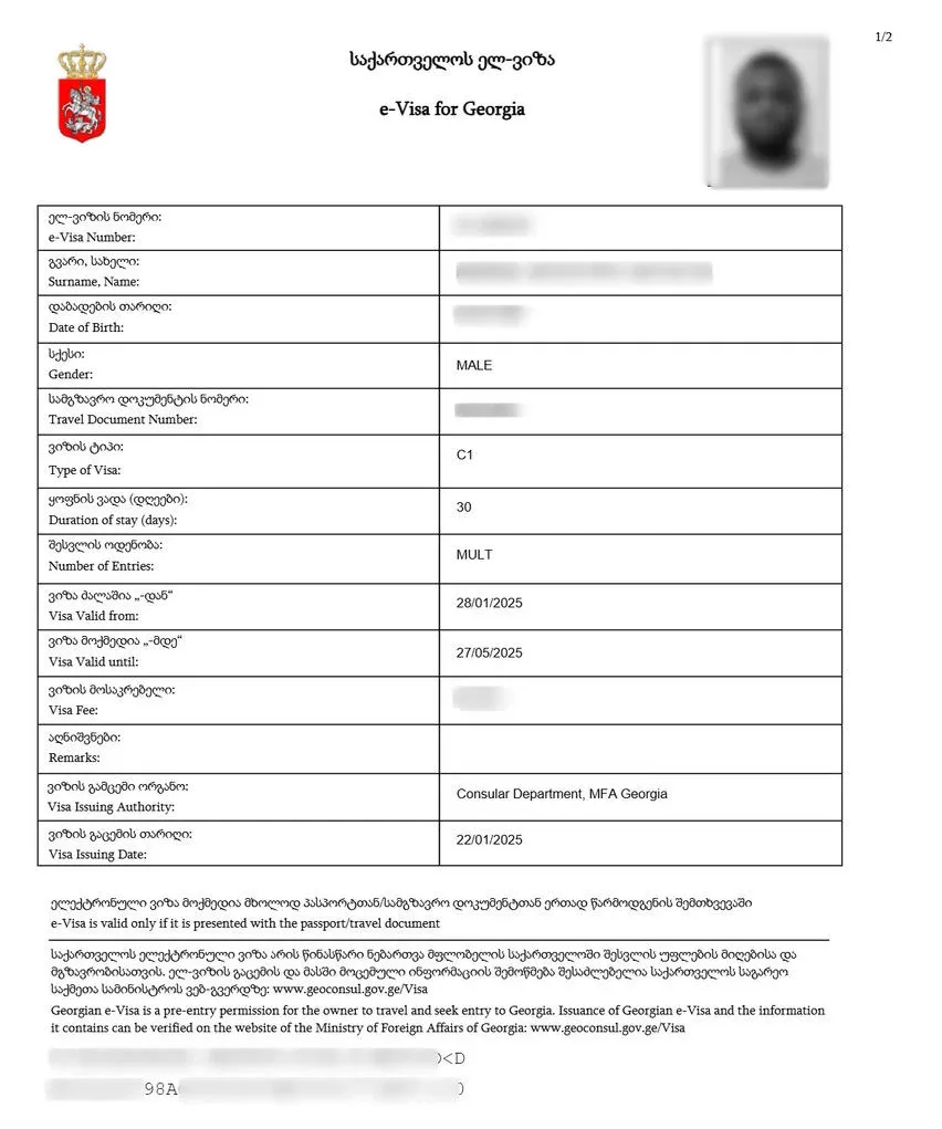 Georgia eVisa sample